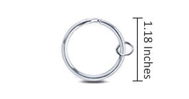 Split Ring Only Sliver
